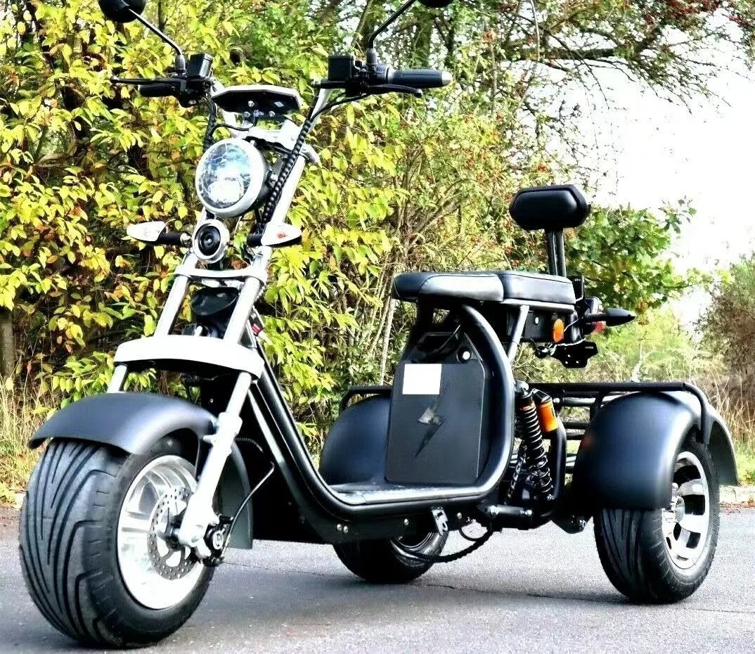 Three Wheel Electric Scooter