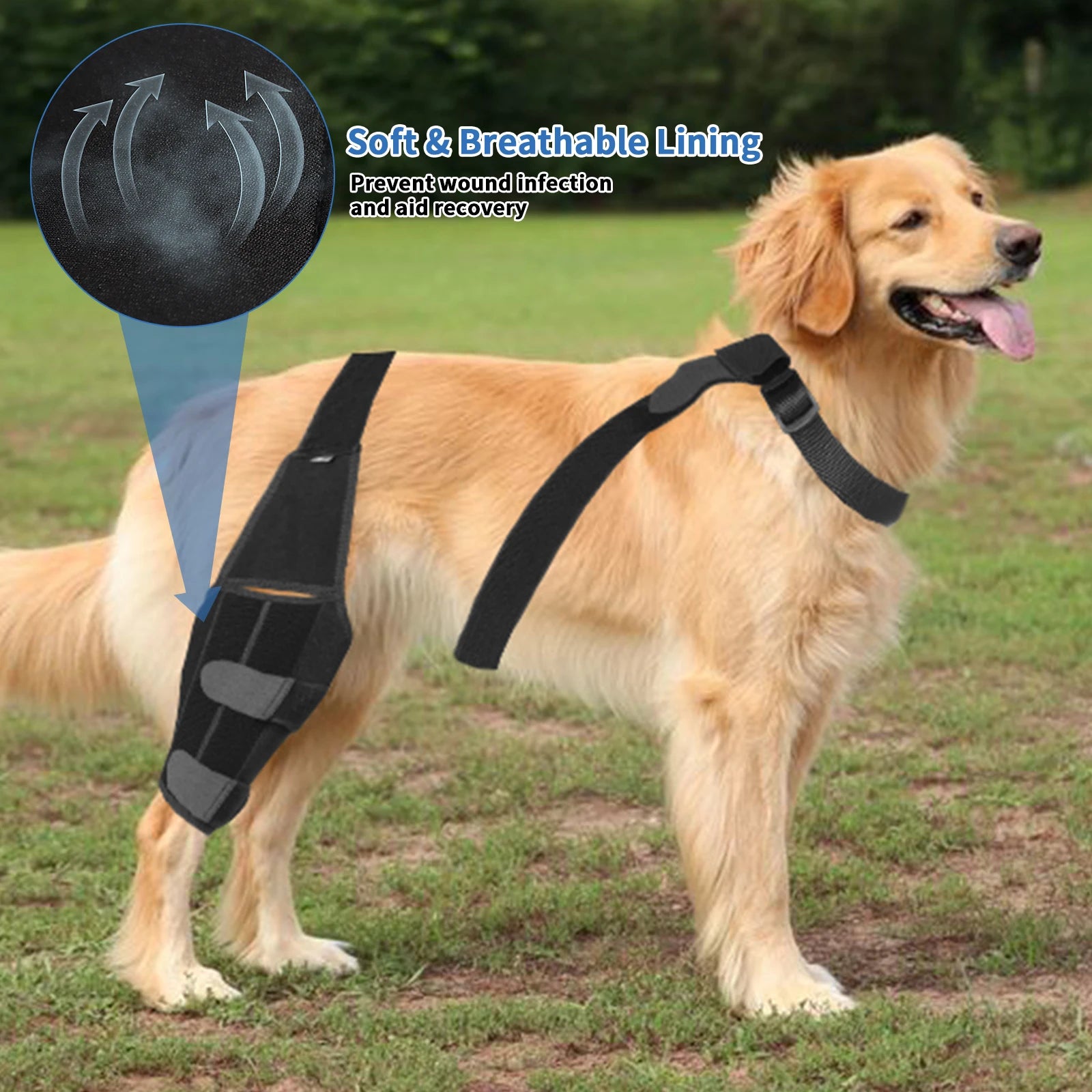 Pet Puppy Knee Brace Straps Dog - Tool Traction