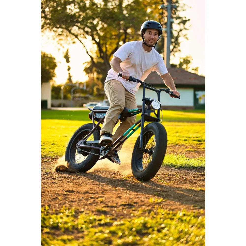 Class 2 Adult Electric Bike