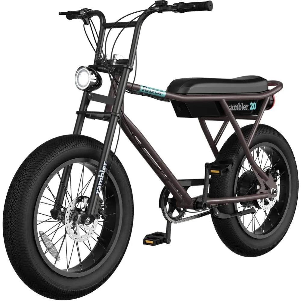 Class 2 Adult Electric Bike