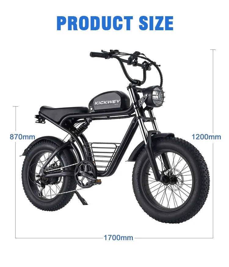 Fat Electric Bike for Adults