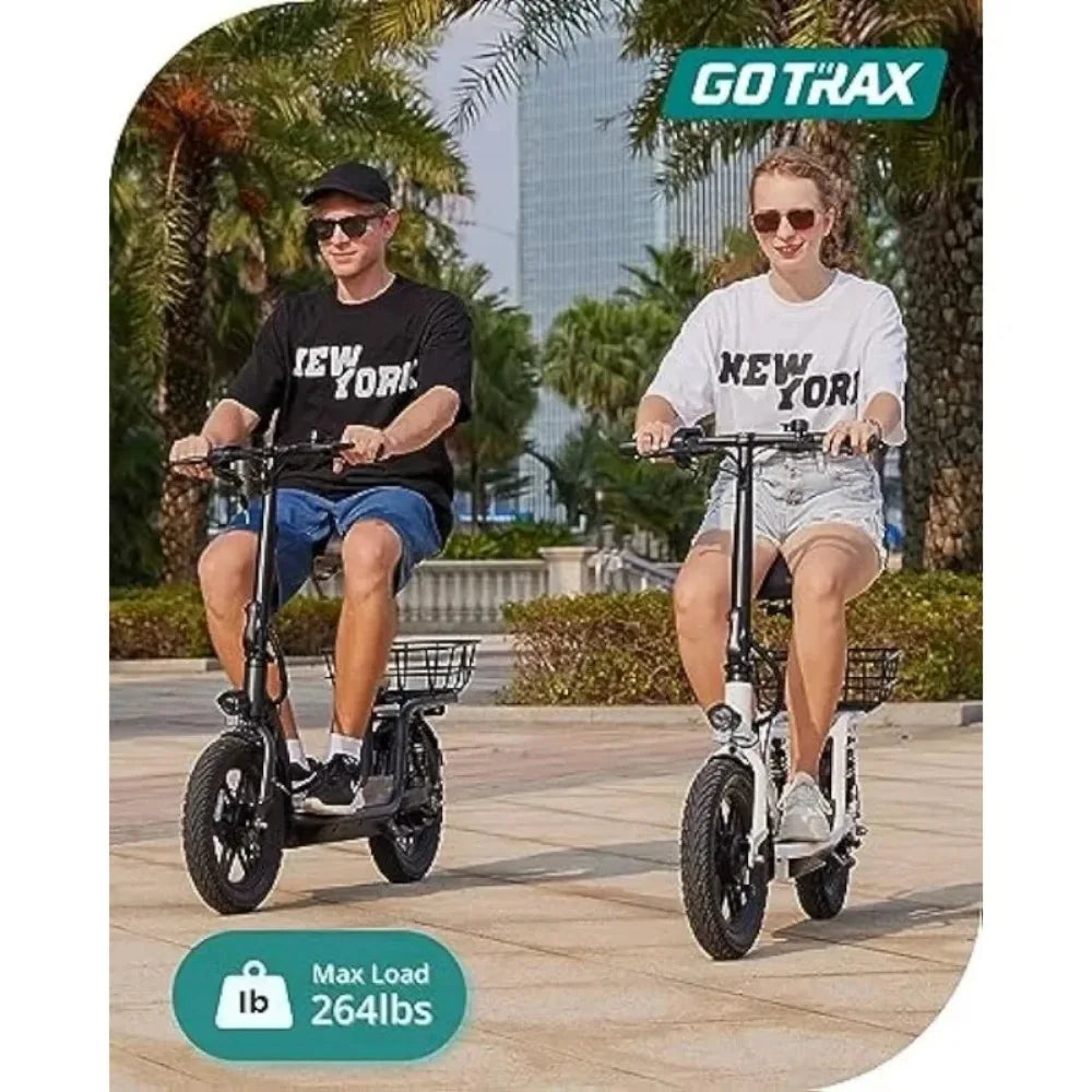 Gotrax ASTRO Electric Scooter