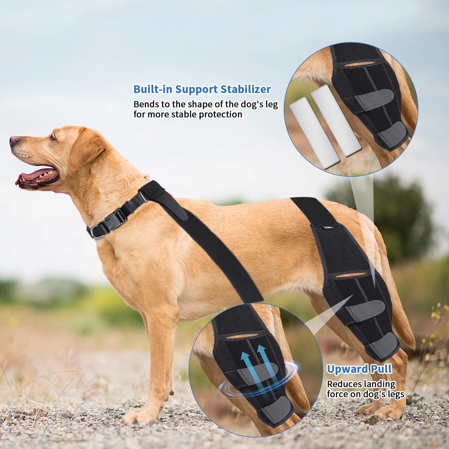 Pet Puppy Knee Brace Straps Dog - Tool Traction