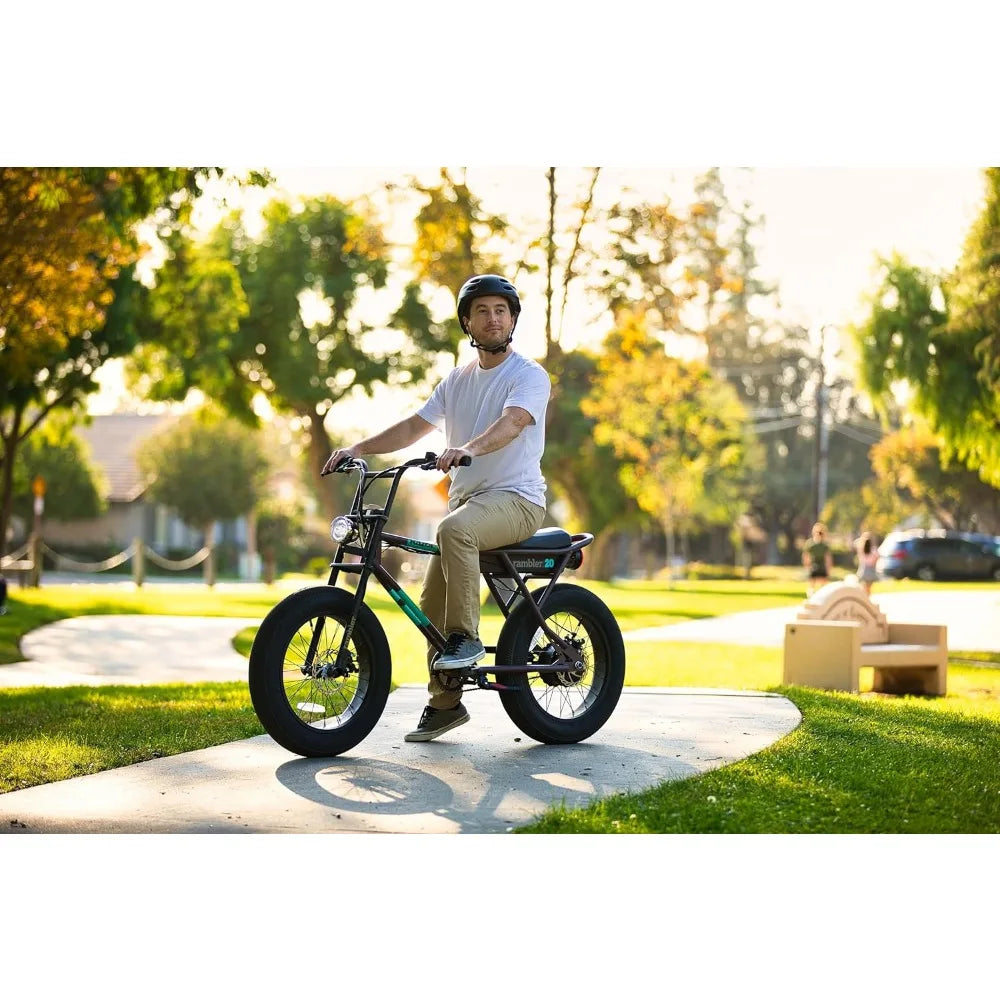 Class 2 Adult Electric Bike