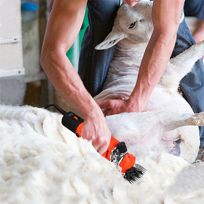 Electric Shearing Sheep Shear - Tool Traction