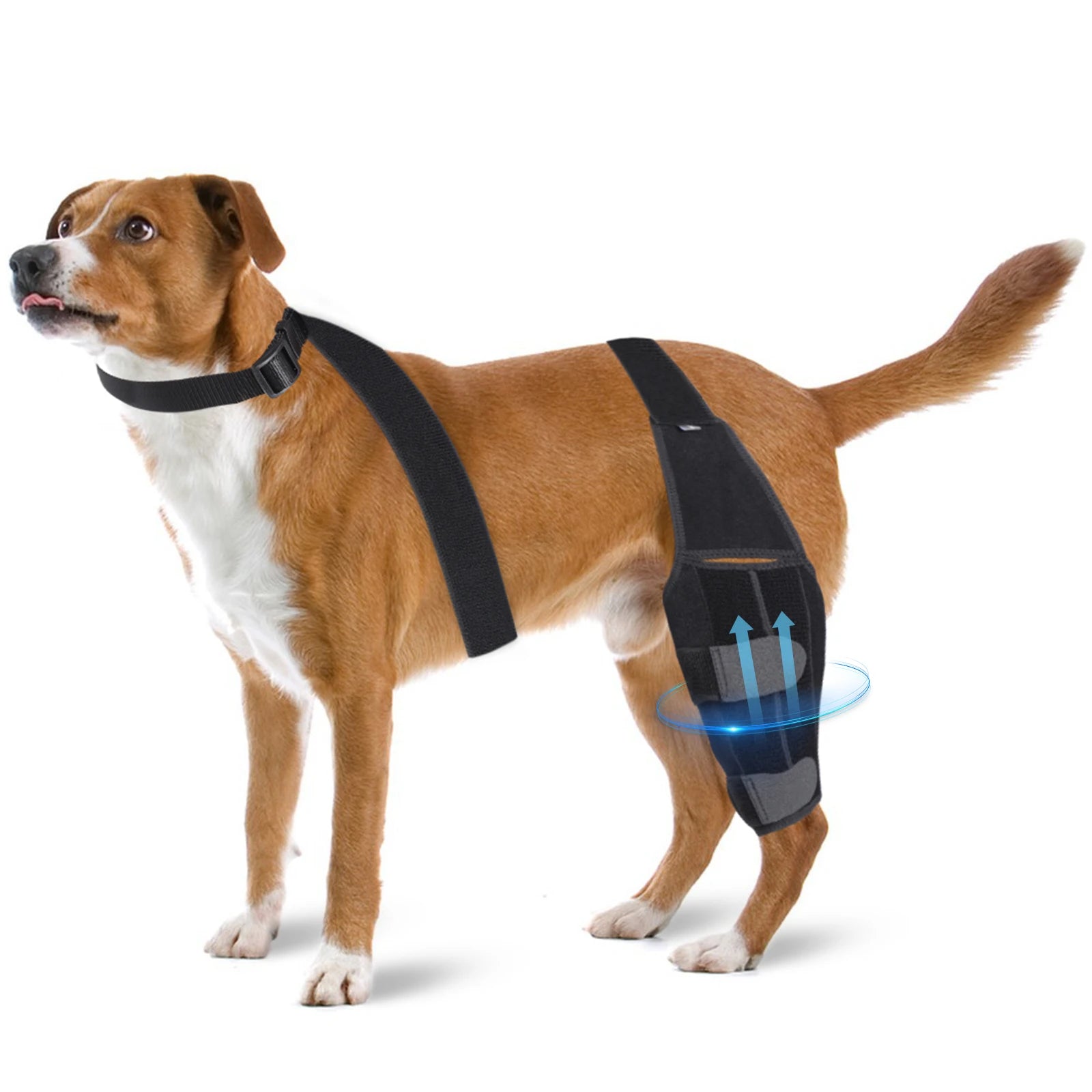 Pet Puppy Knee Brace Straps Dog - Tool Traction