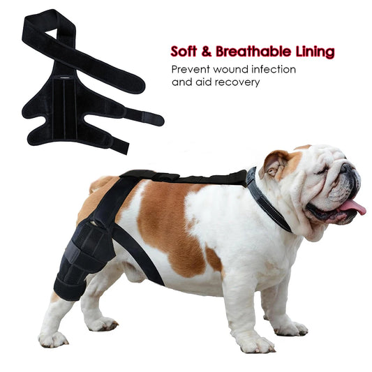 Dog Arthritis Protector Cover Dog Leg Support - Tool Traction